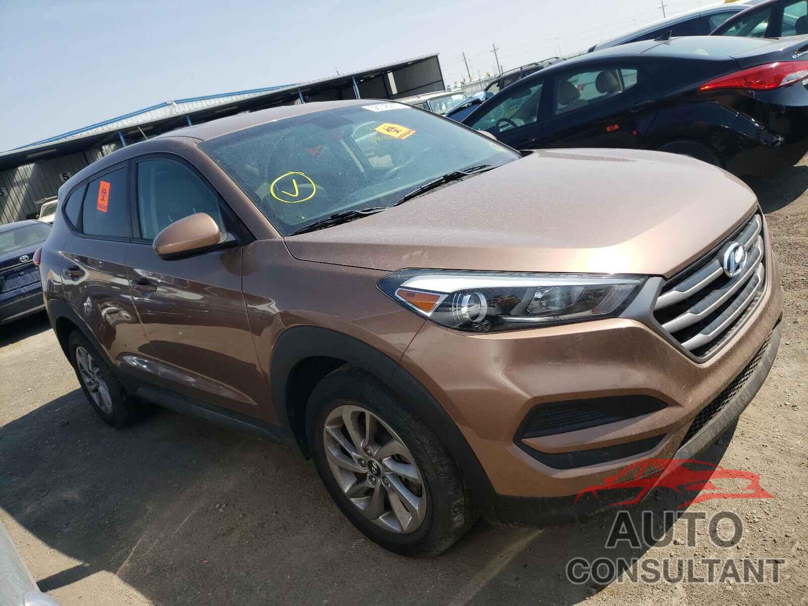 HYUNDAI TUCSON 2016 - KM8J23A40GU155566