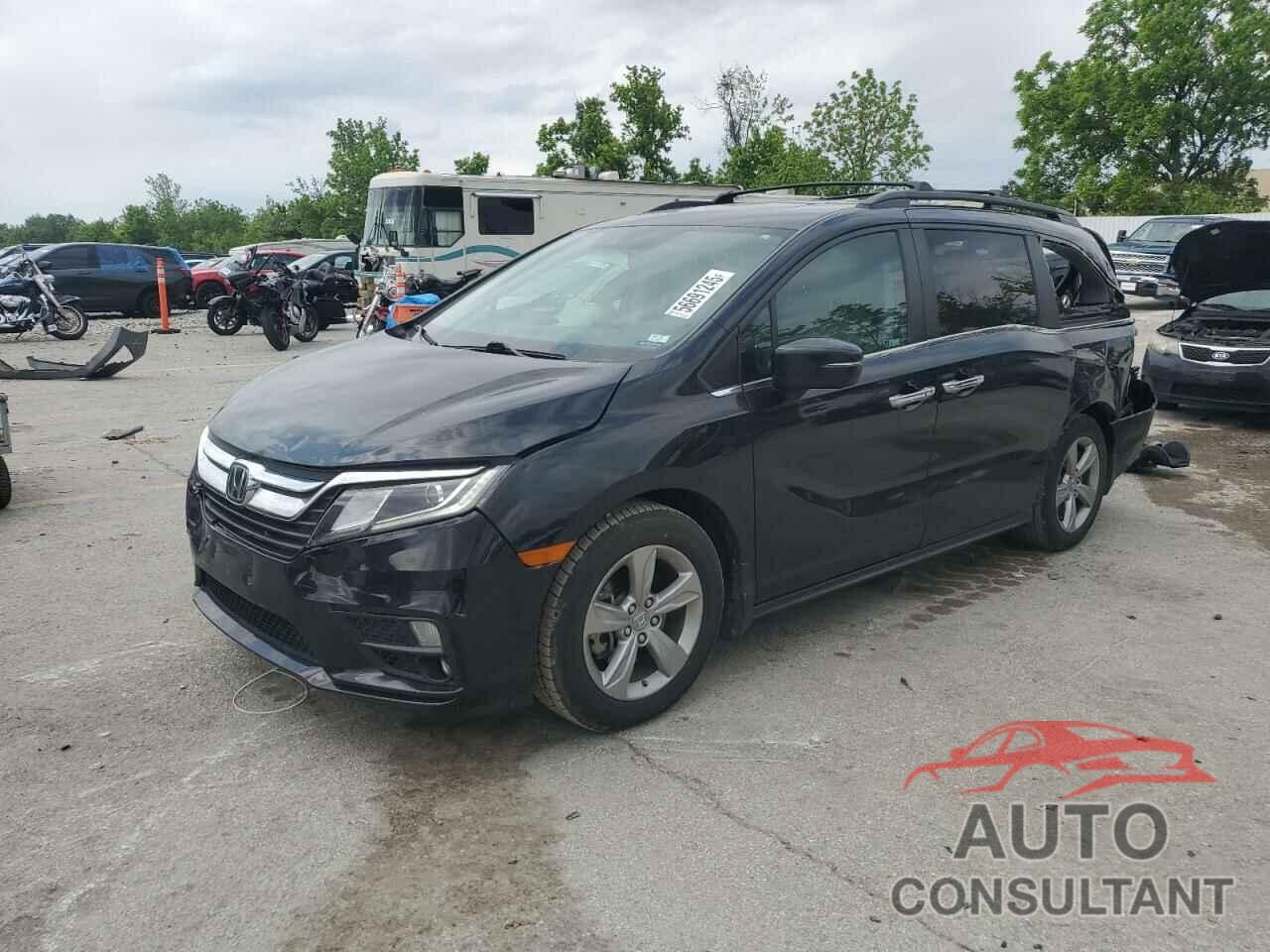HONDA All Models 2020 - 5FNRL6H7XLB034259
