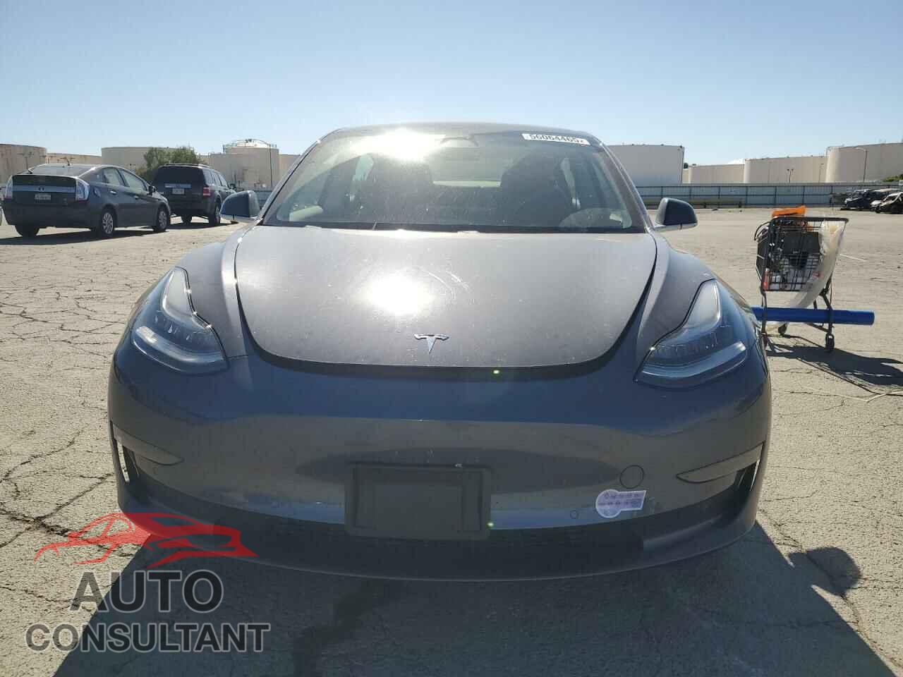 TESLA MODEL 3 2019 - 5YJ3E1EA6KF435728