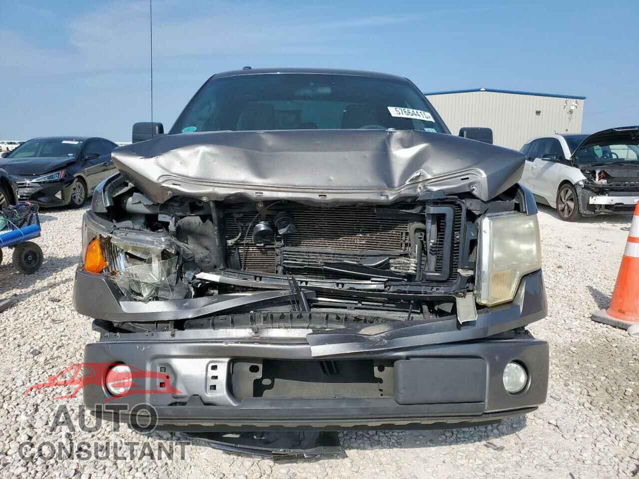 FORD F-150 2013 - 1FTEX1CM2DFD81939
