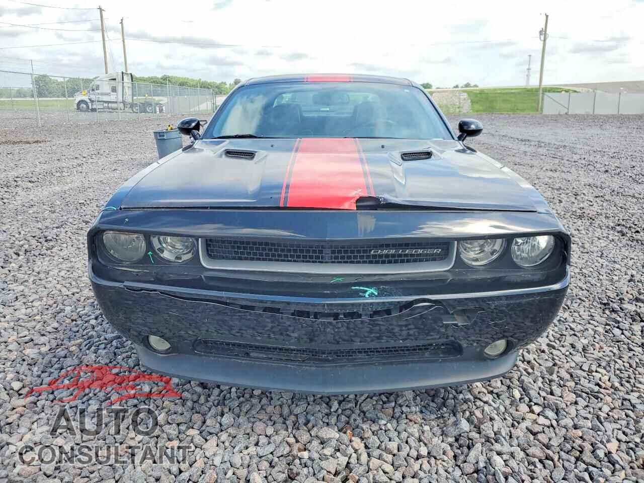 DODGE CHALLENGER 2014 - 2C3CDYAG9EH158341