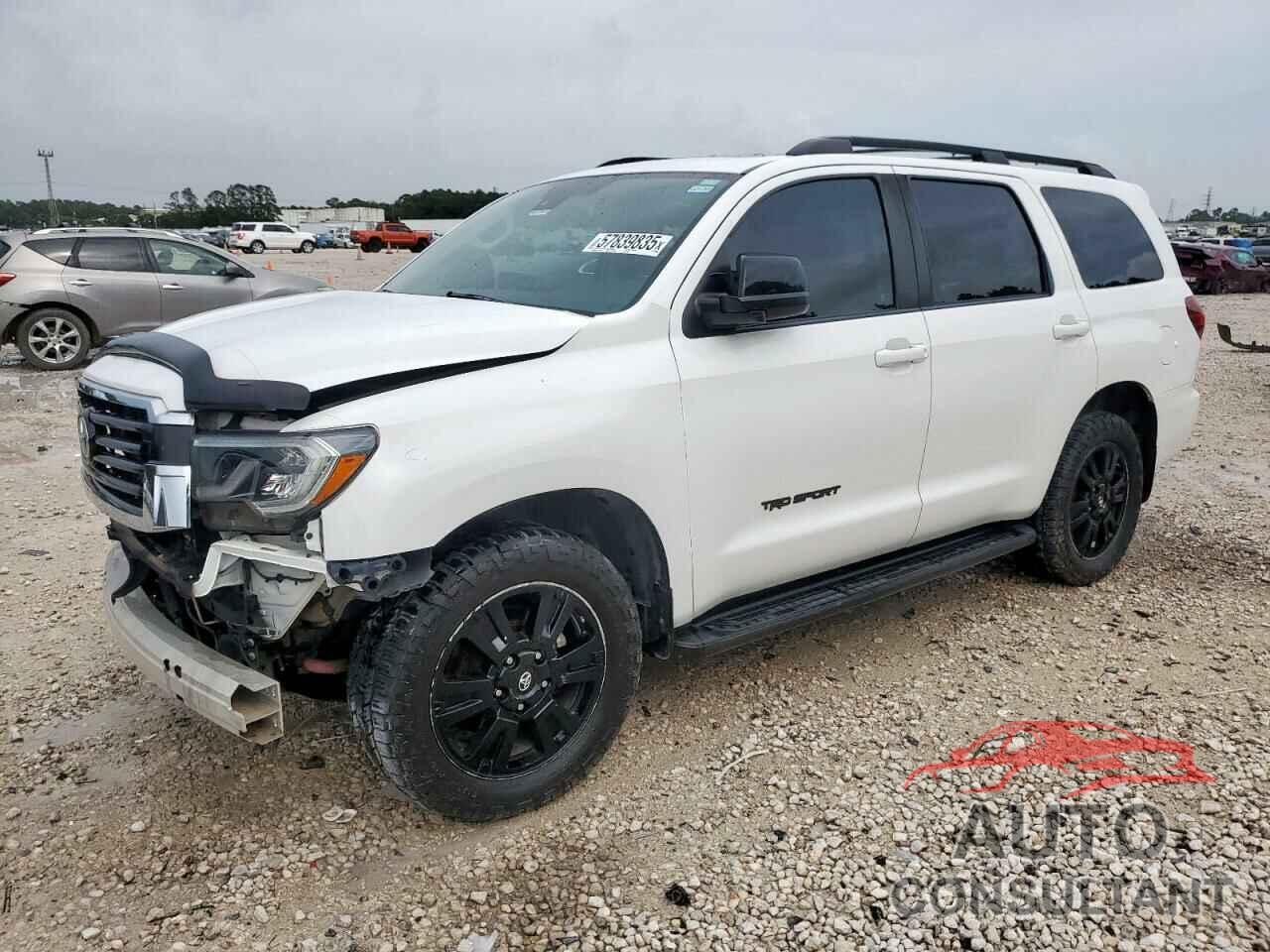 TOYOTA SEQUOIA 2019 - 5TDBY5G12KS166534