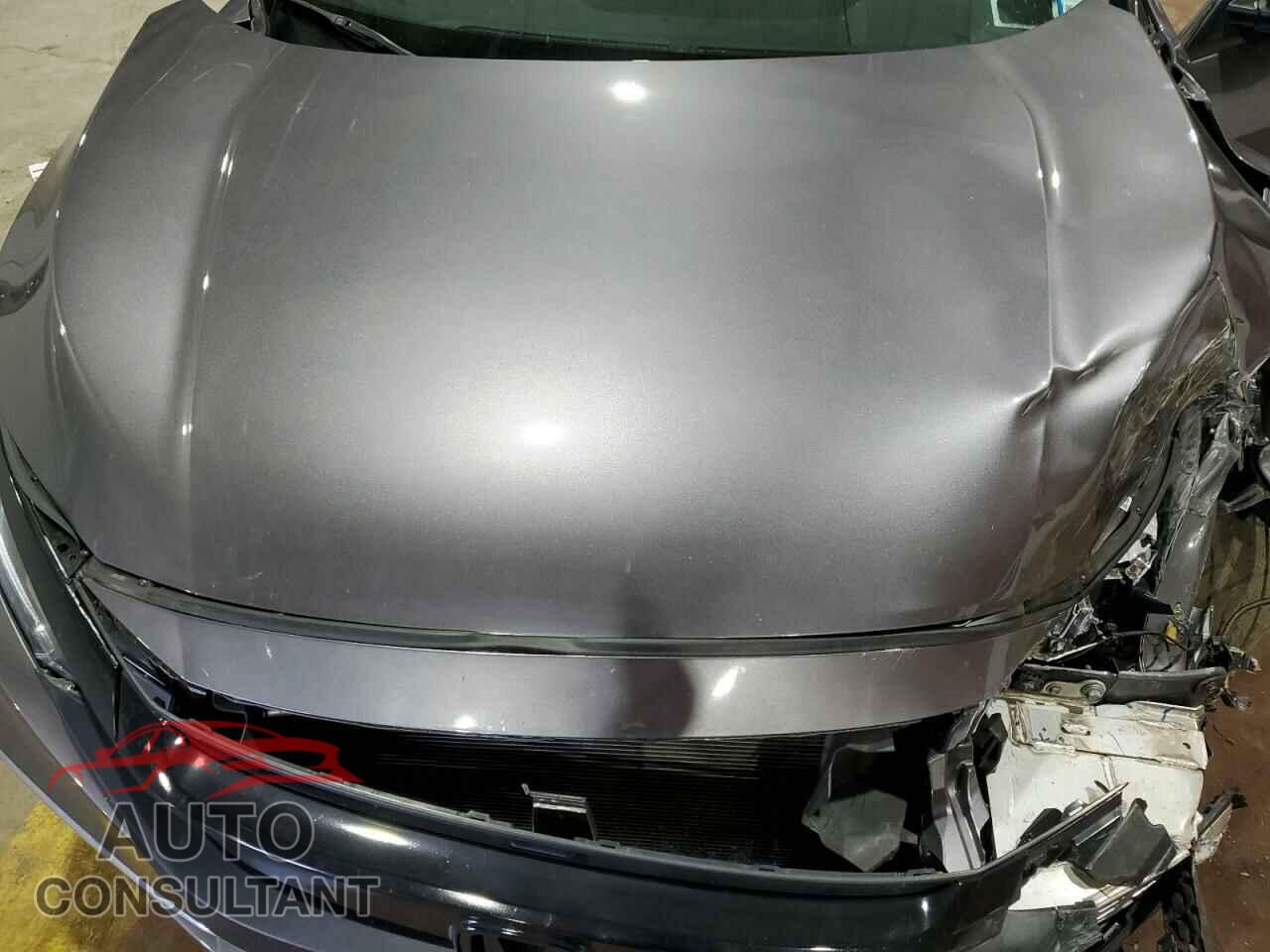 HONDA CIVIC 2019 - 2HGFC2F61KH558030