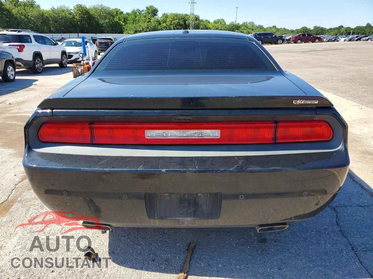 DODGE CHALLENGER 2014 - 2C3CDYBT2EH251164