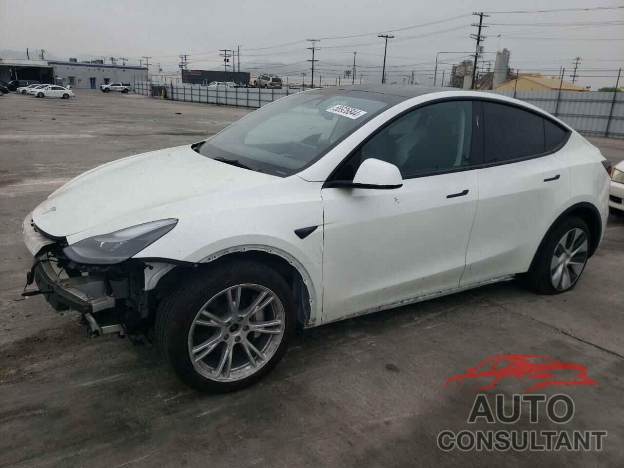 TESLA MODEL Y 2023 - 7SAYGDEE1PF813890