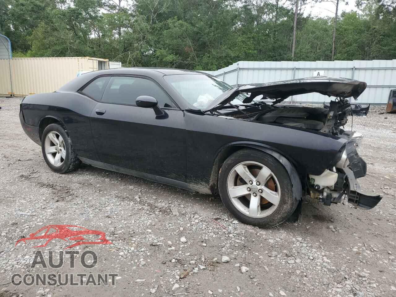 DODGE CHALLENGER 2012 - 2C3CDYAG4CH294955