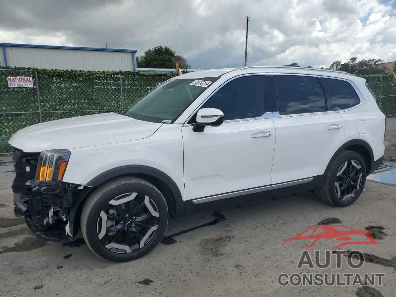 KIA TELLURIDE 2024 - 5XYP64GC7RG425498