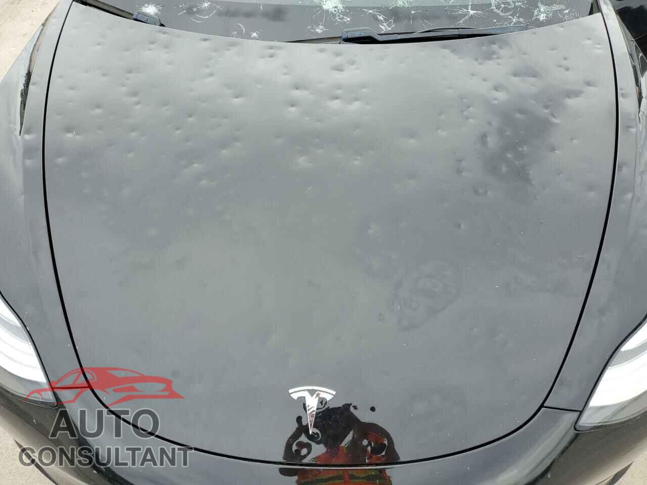 TESLA MODEL 3 2019 - 5YJ3E1EA8KF296847