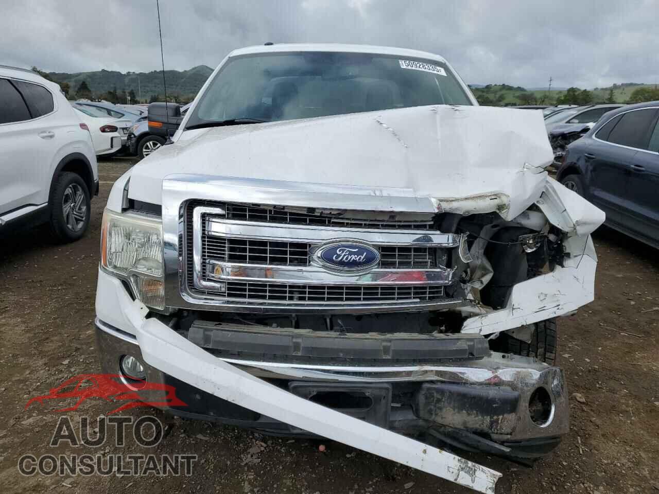 FORD F-150 2013 - 1FTFW1CF5DFD27219