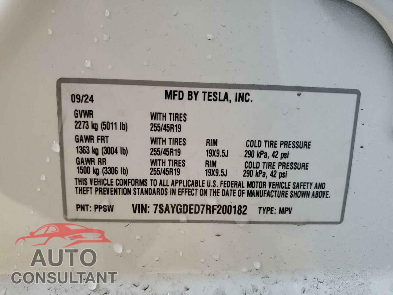 TESLA MODEL Y 2024 - 7SAYGDED7RF200182