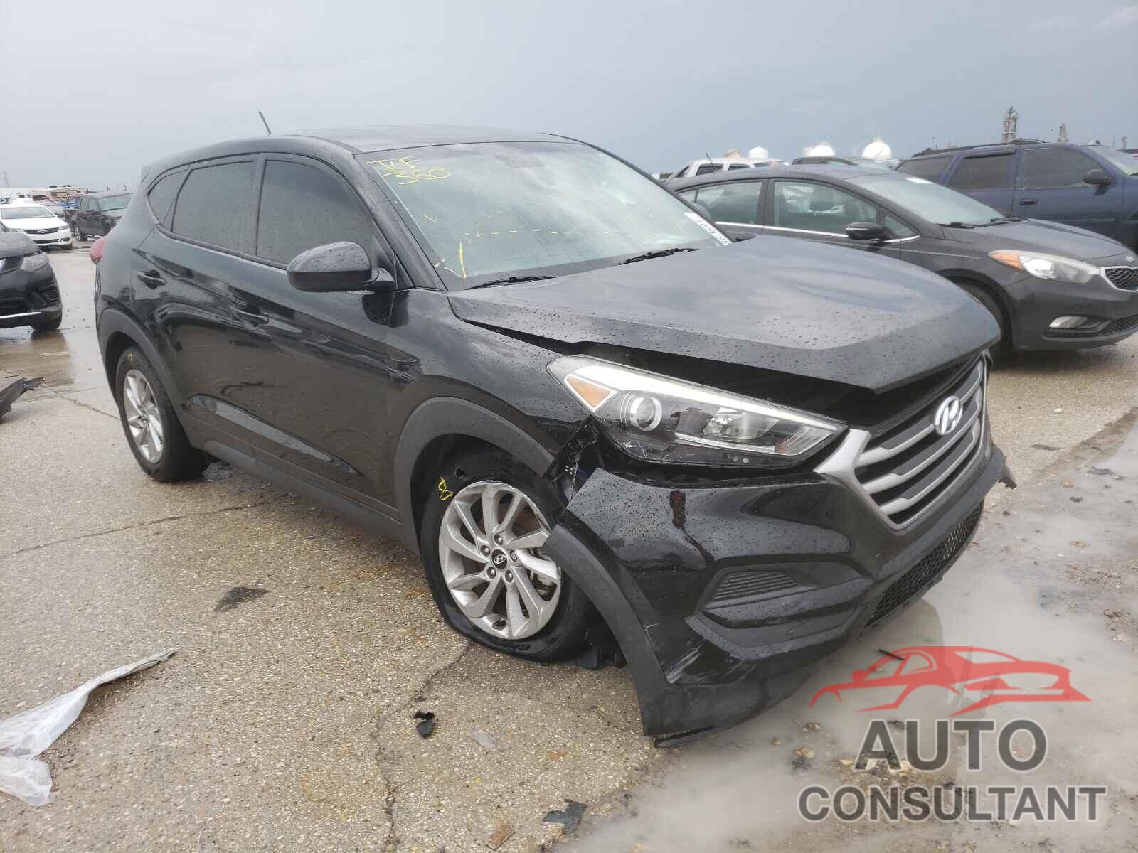 HYUNDAI TUCSON 2017 - KM8J23A42HU313875