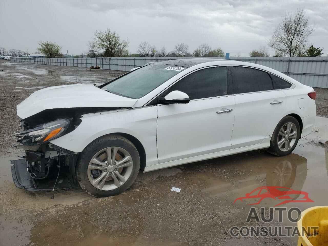 HYUNDAI SONATA 2019 - 5NPE34AF5KH748417