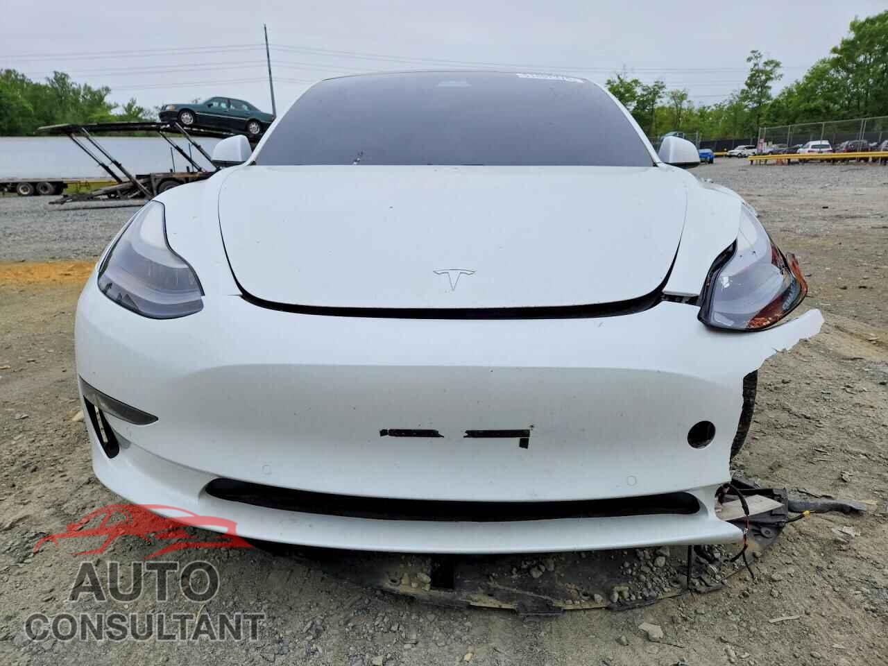 TESLA MODEL 3 2021 - 5YJ3E1EB4MF869741