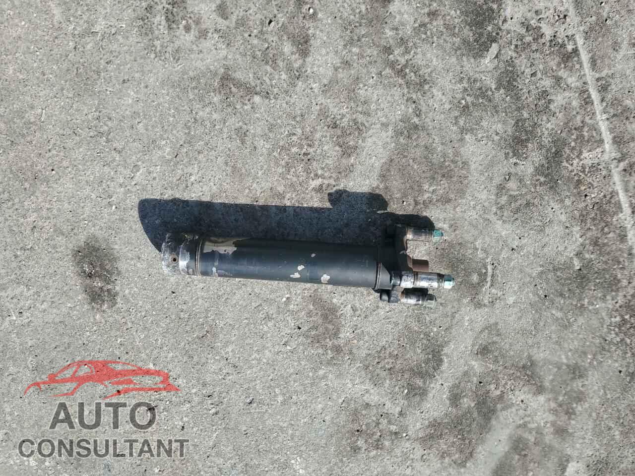 DODGE CHALLENGER 2013 - 2C3CDYBT3DH676567