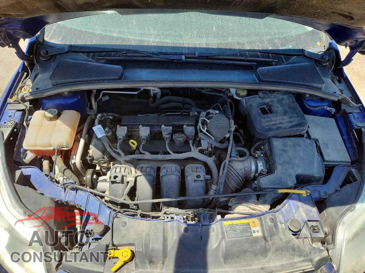 FORD FOCUS 2012 - 1FAHP3F21CL250428