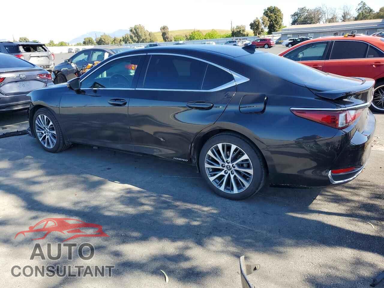 LEXUS ES300 2021 - 58ADA1C18MU013106
