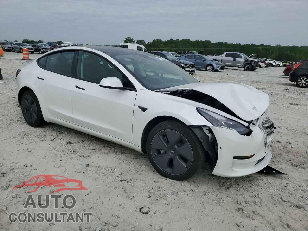 TESLA MODEL 3 2021 - 5YJ3E1EA0MF081708