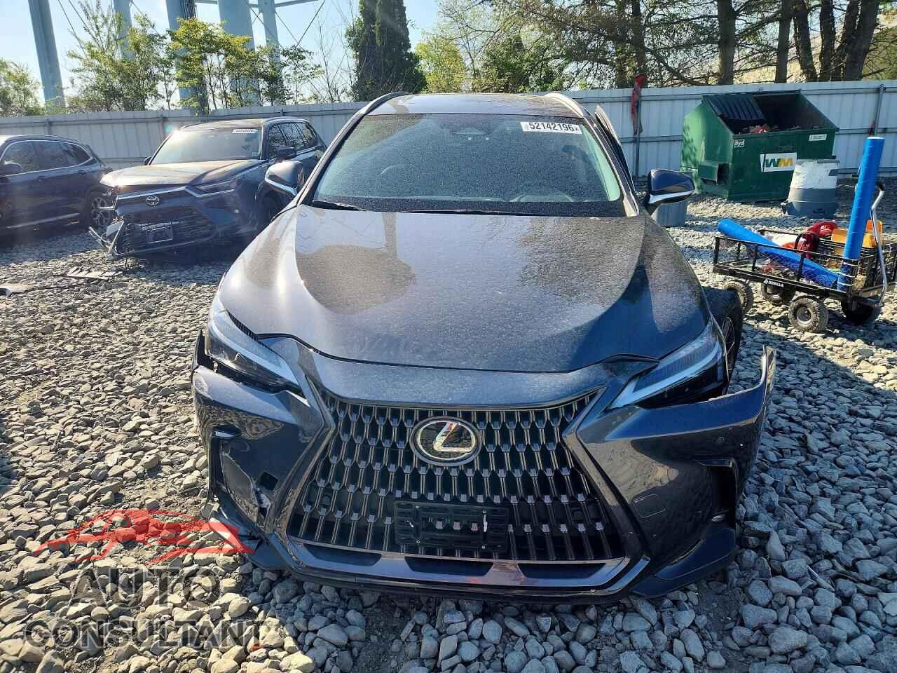 LEXUS NX 2024 - 2T2GGCEZ3RC048108