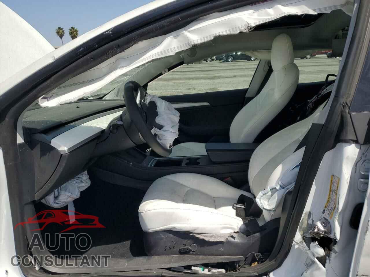 TESLA MODEL 3 2021 - 5YJ3E1EA3MF031305