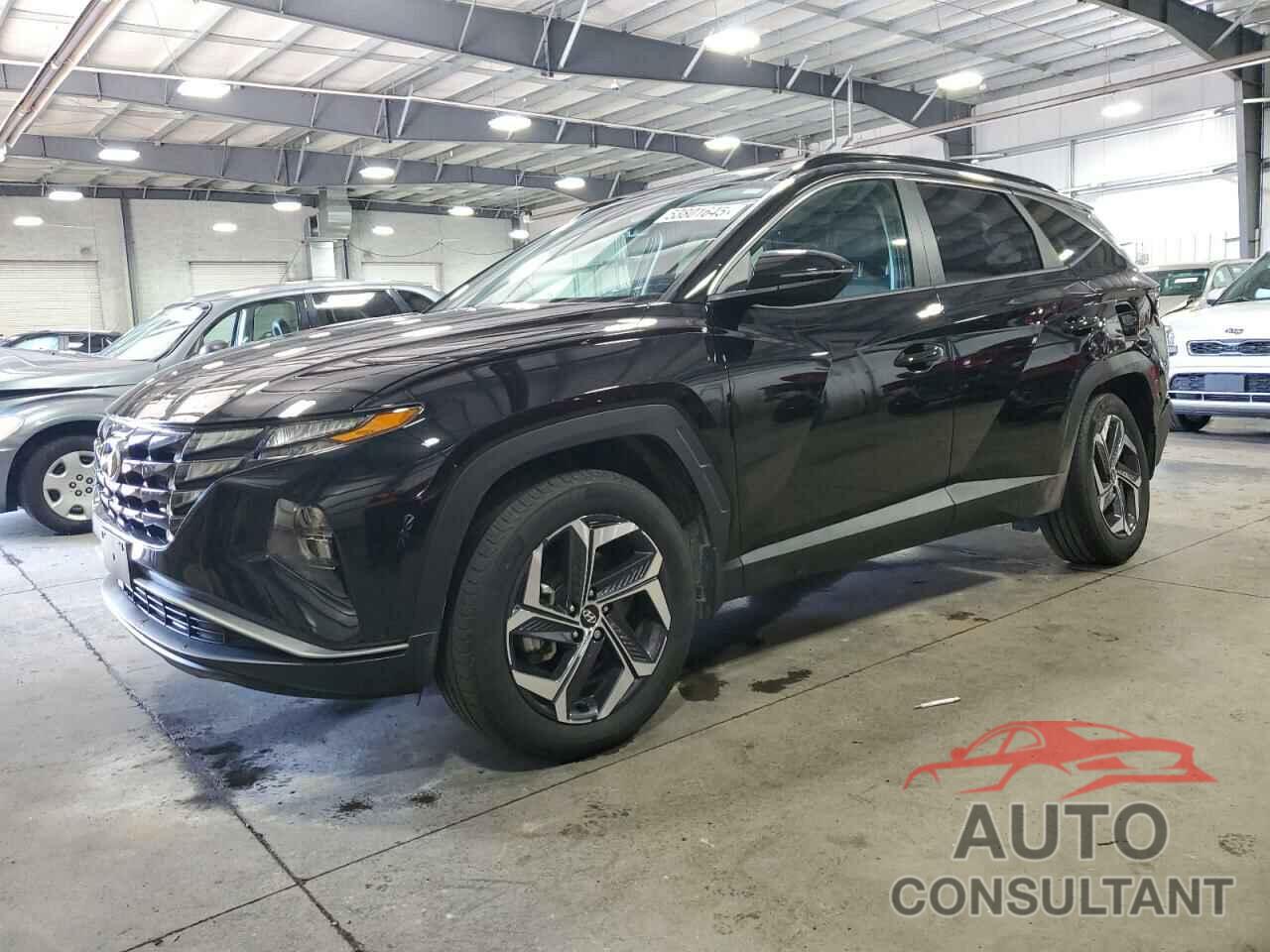 HYUNDAI TUCSON 2023 - KM8JFCA17PU129766