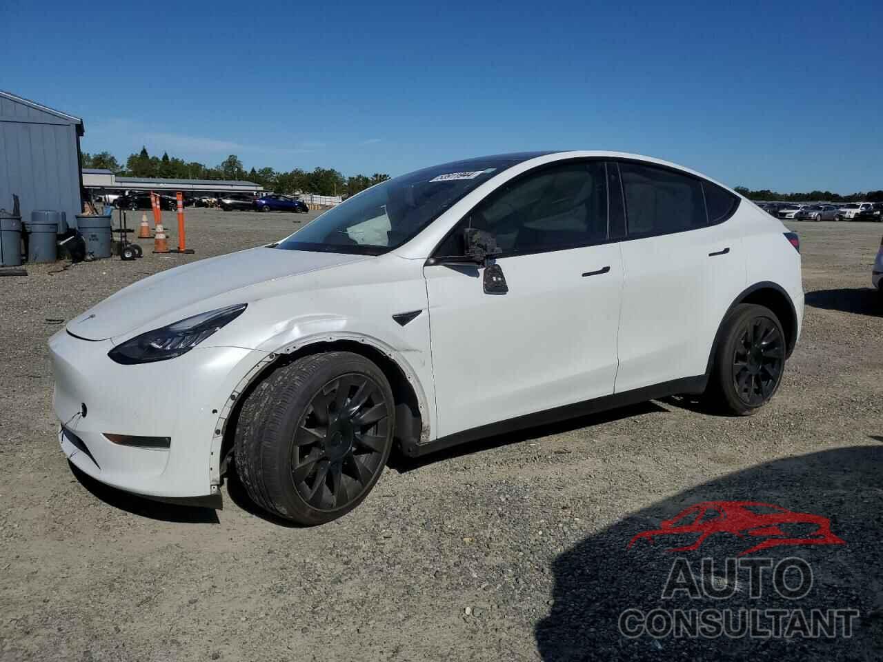 TESLA MODEL Y 2021 - 5YJYGDEE0MF088789