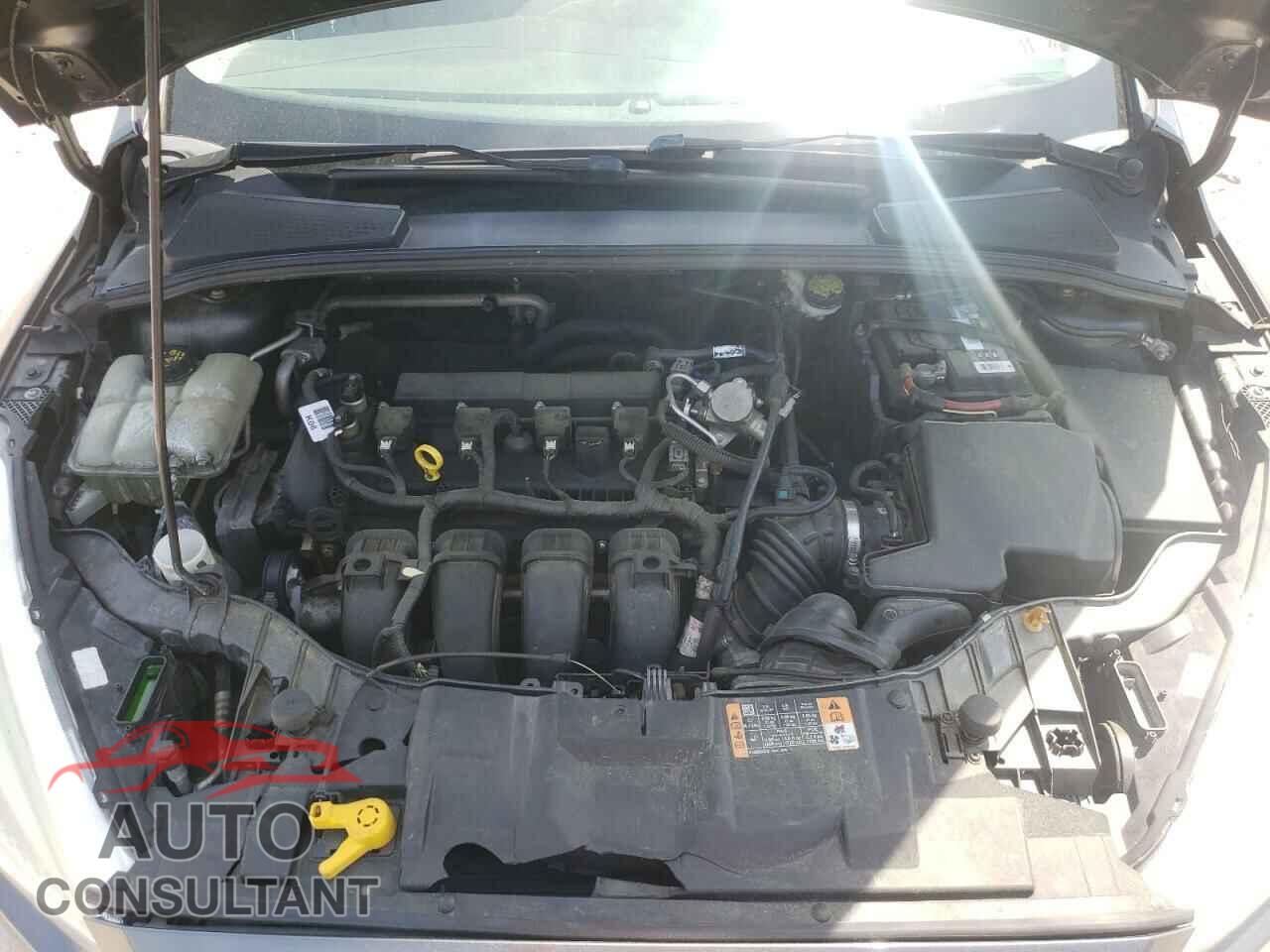 FORD FOCUS 2016 - 1FADP3F23GL355587