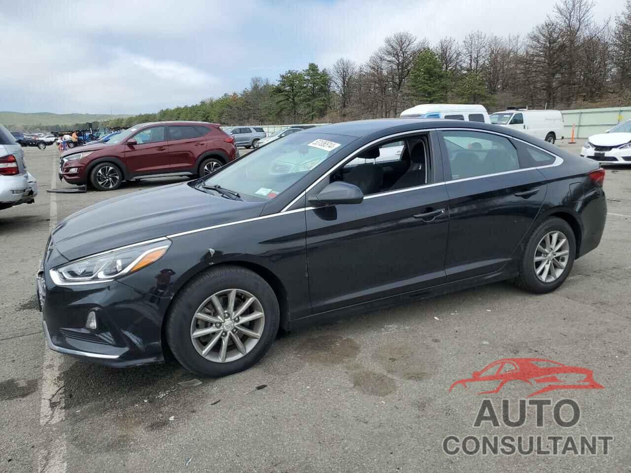 HYUNDAI SONATA 2019 - 5NPE24AF9KH785652