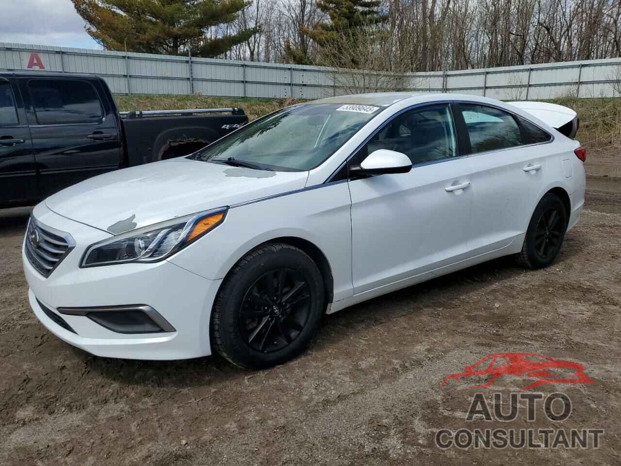 HYUNDAI SONATA 2017 - 5NPE24AF5HH507274