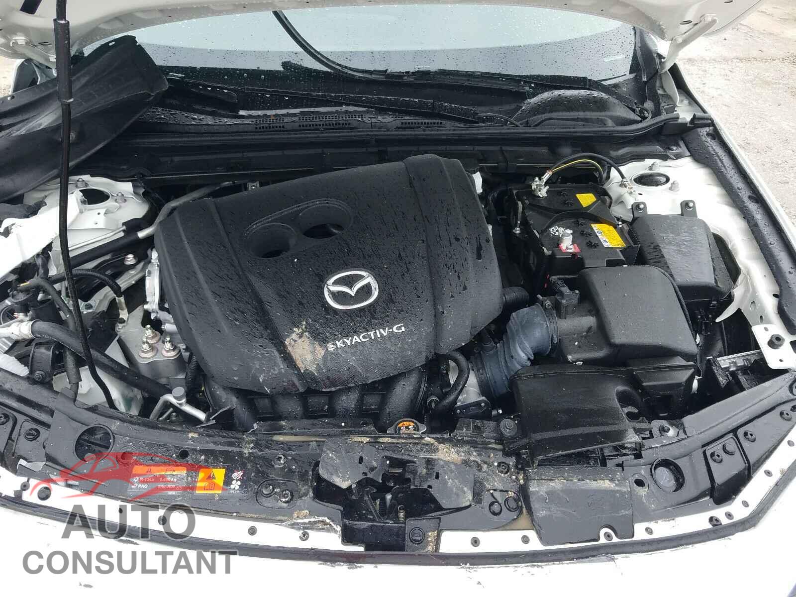MAZDA 3 2020 - JM1BPALM3L1159568
