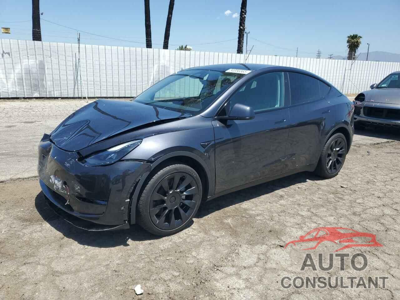 TESLA MODEL Y 2024 - 7SAYGDED3RF056131