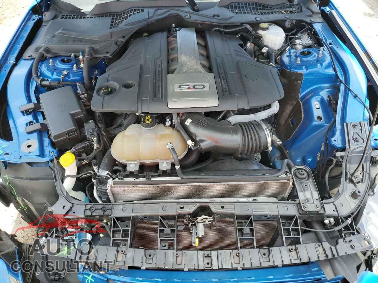 FORD MUSTANG 2019 - 1FA6P8CF2K5200314