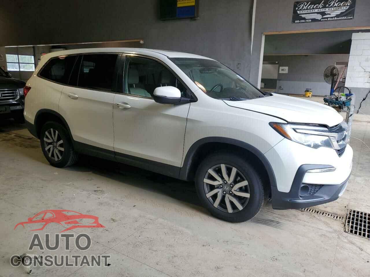 HONDA PILOT 2019 - 5FNYF6H52KB044784