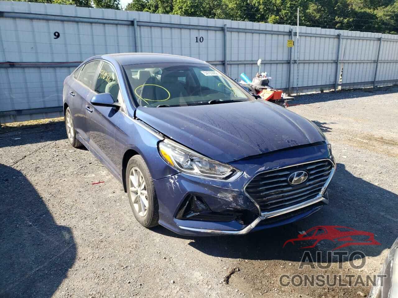 HYUNDAI SONATA 2019 - 5NPE24AF4KH782190