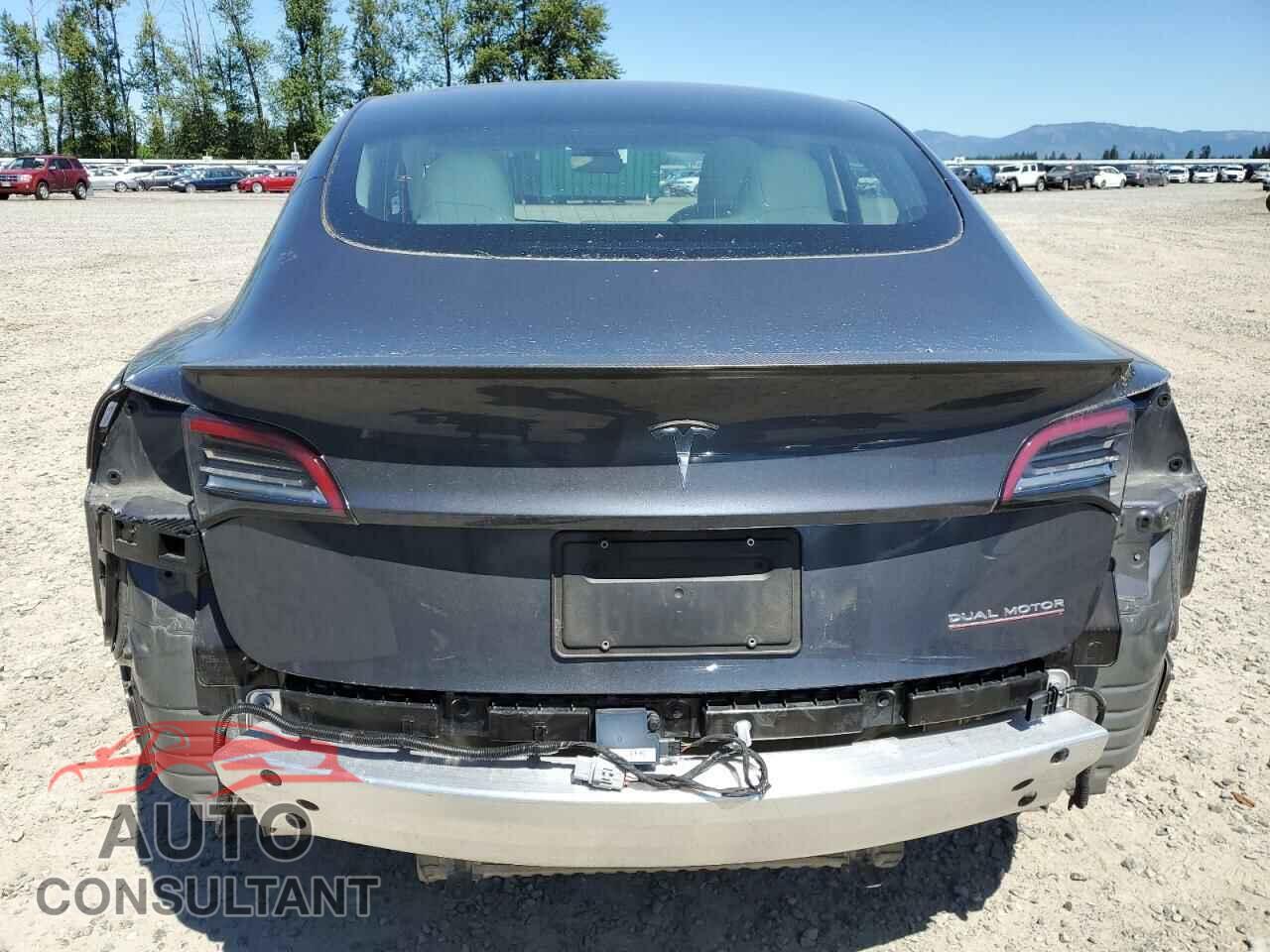 TESLA MODEL 3 2019 - 5YJ3E1EB2KF535950