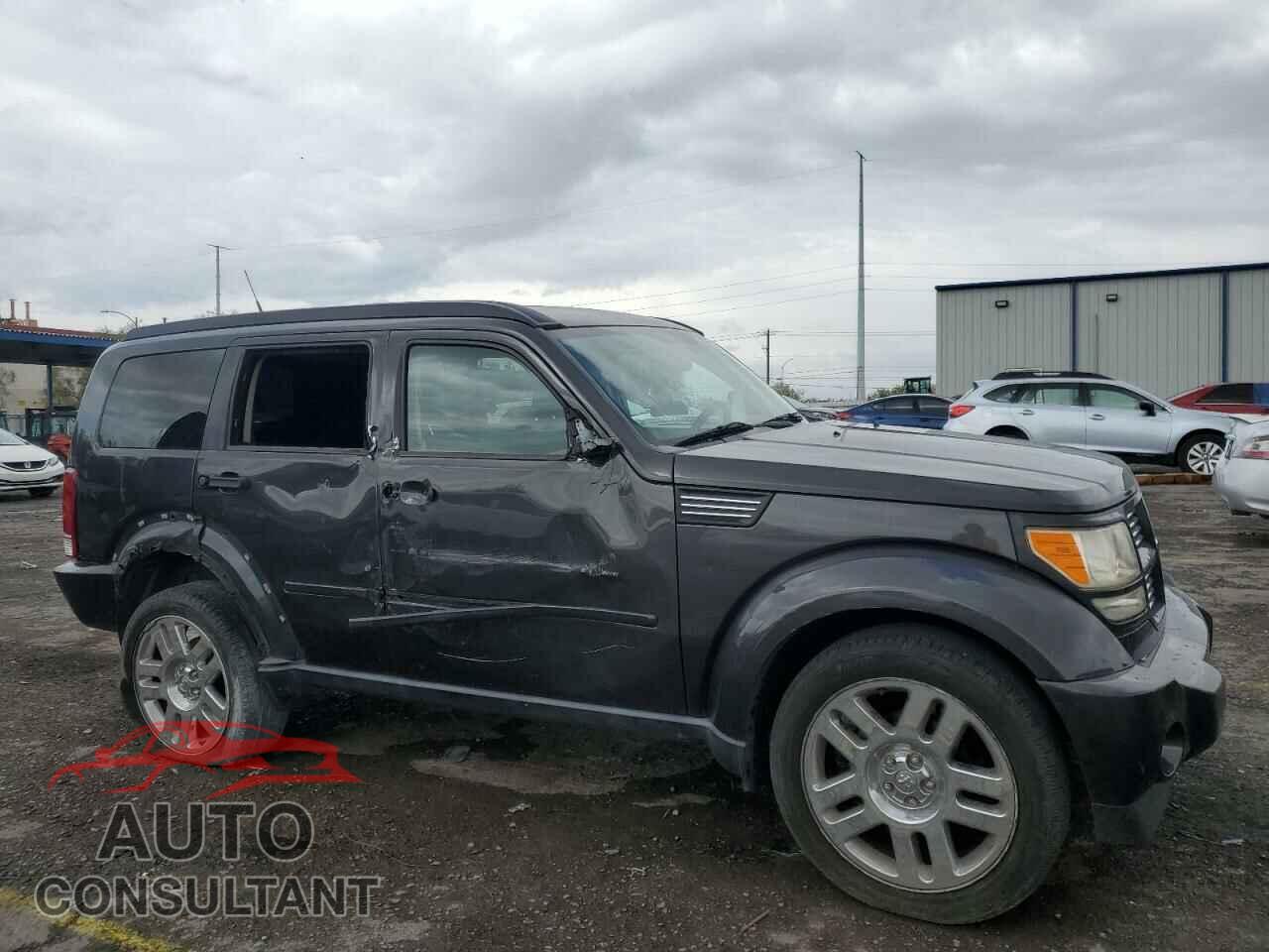 DODGE NITRO 2011 - 1D4PT4GK7BW565837