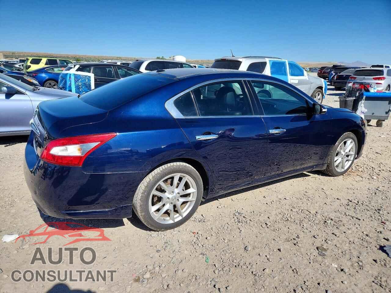 NISSAN MAXIMA 2011 - 1N4AA5AP7BC842996