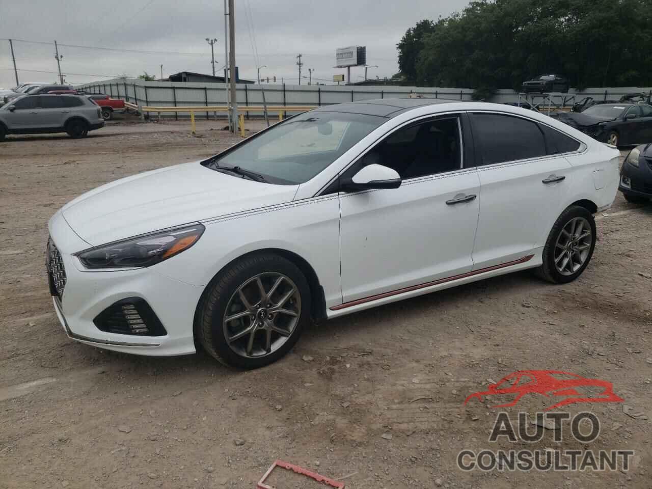 HYUNDAI SONATA 2019 - 5NPE34AB3KH735629