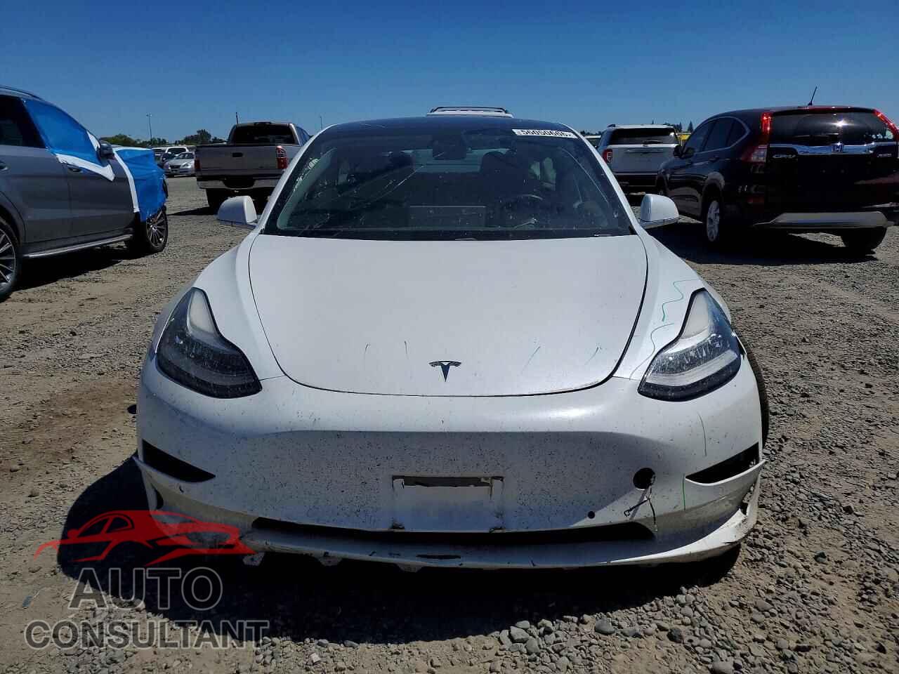 TESLA MODEL 3 2020 - 5YJ3E1EA2LF659676