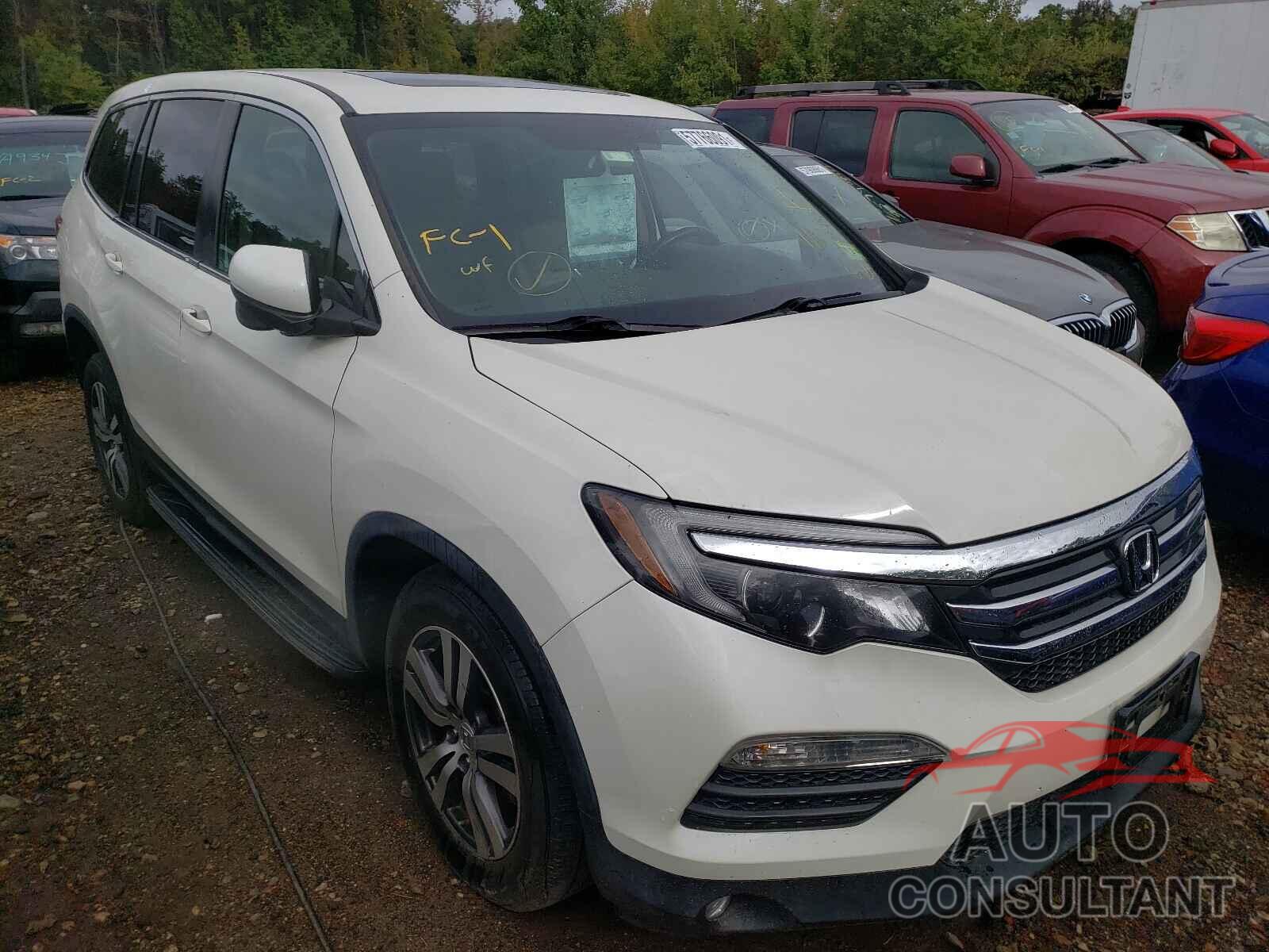 HONDA PILOT 2016 - 5FNYF6H87GB062845