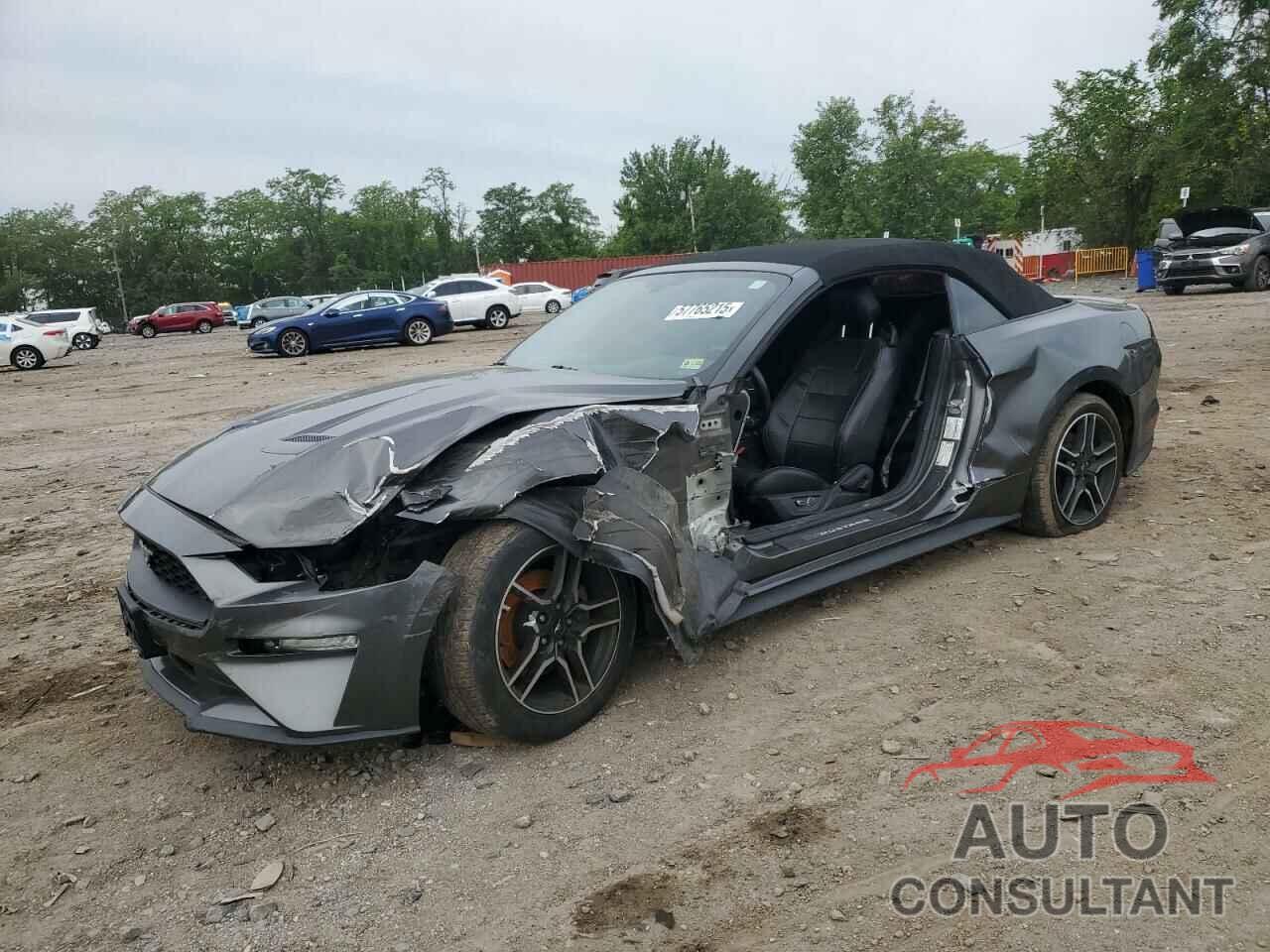 FORD ALL Models 2019 - 1FATP8UH4K5131239