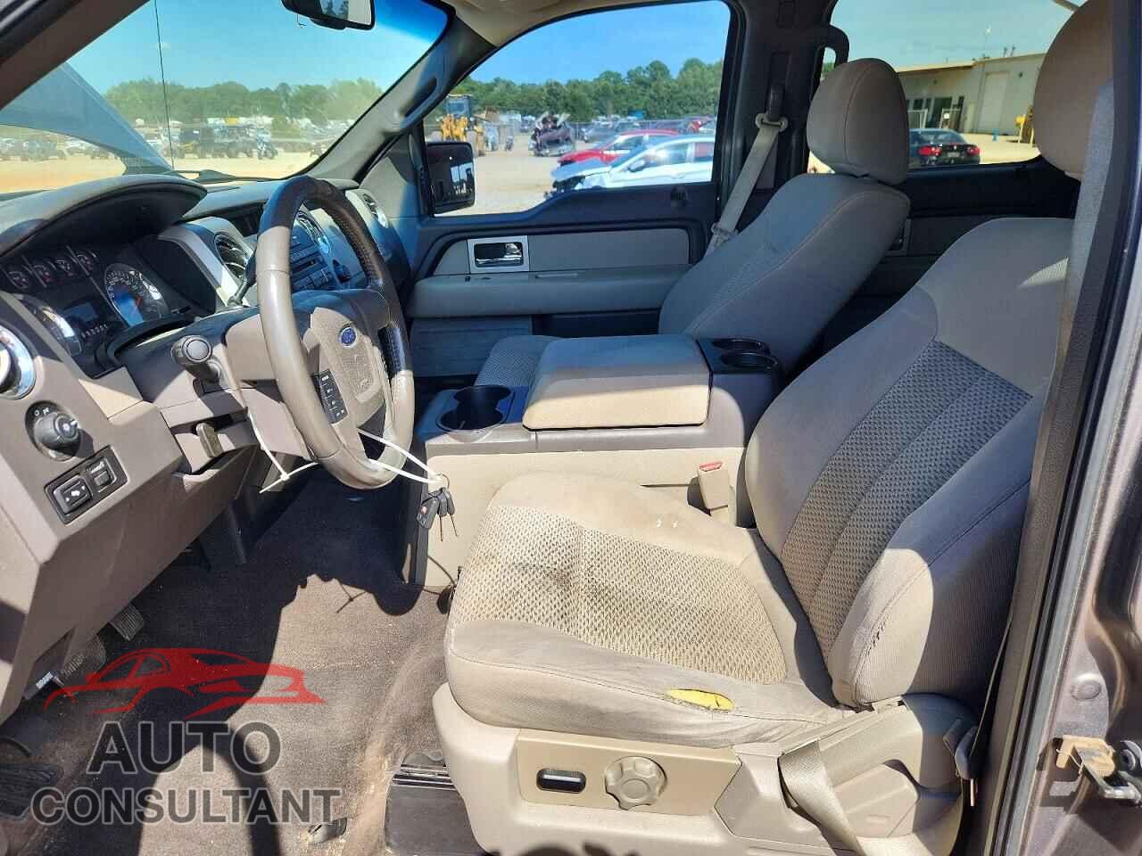 FORD F150 2010 - 1FTEW1C8XAFD08433