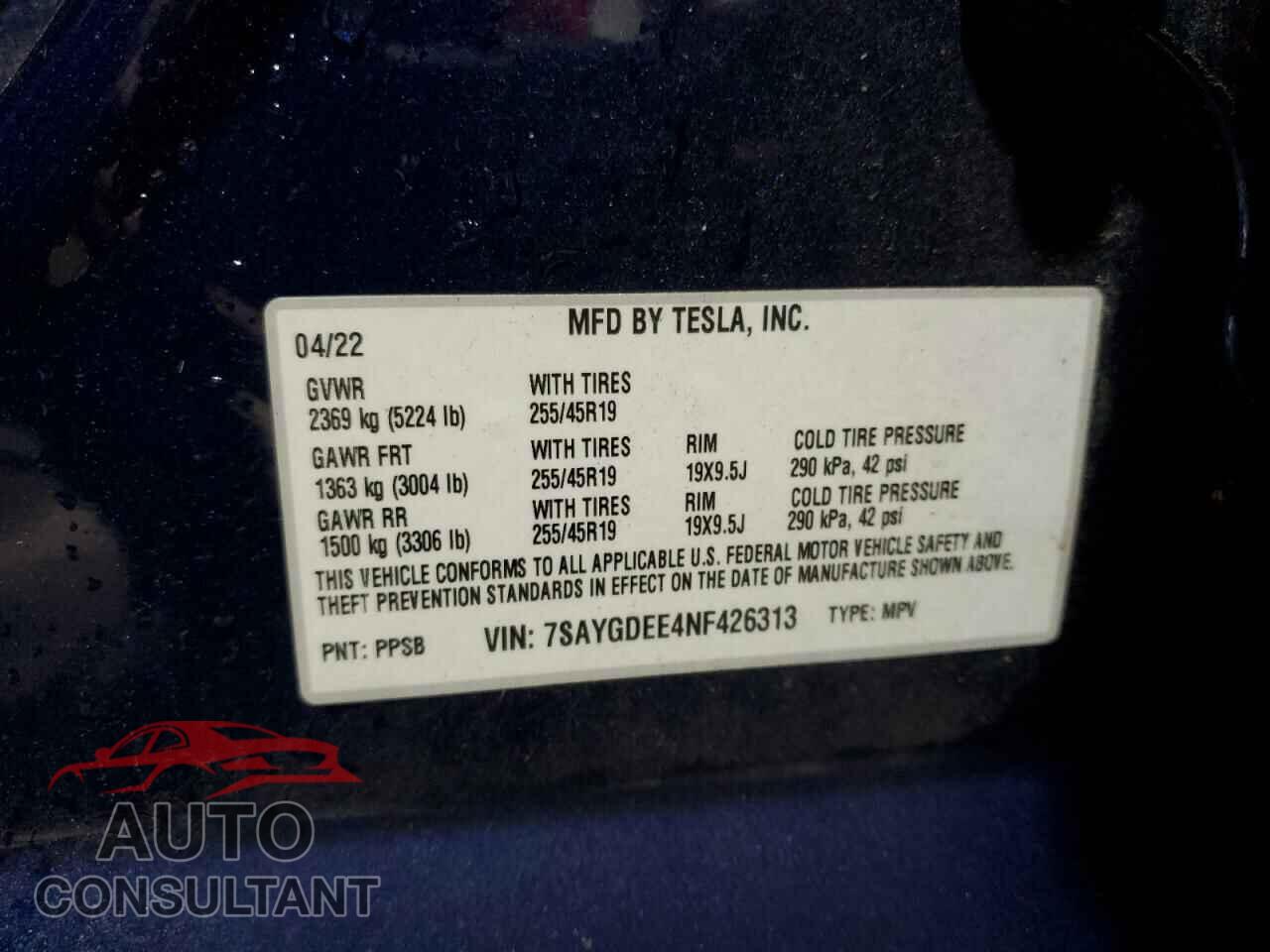 TESLA MODEL Y 2022 - 7SAYGDEE4NF426313