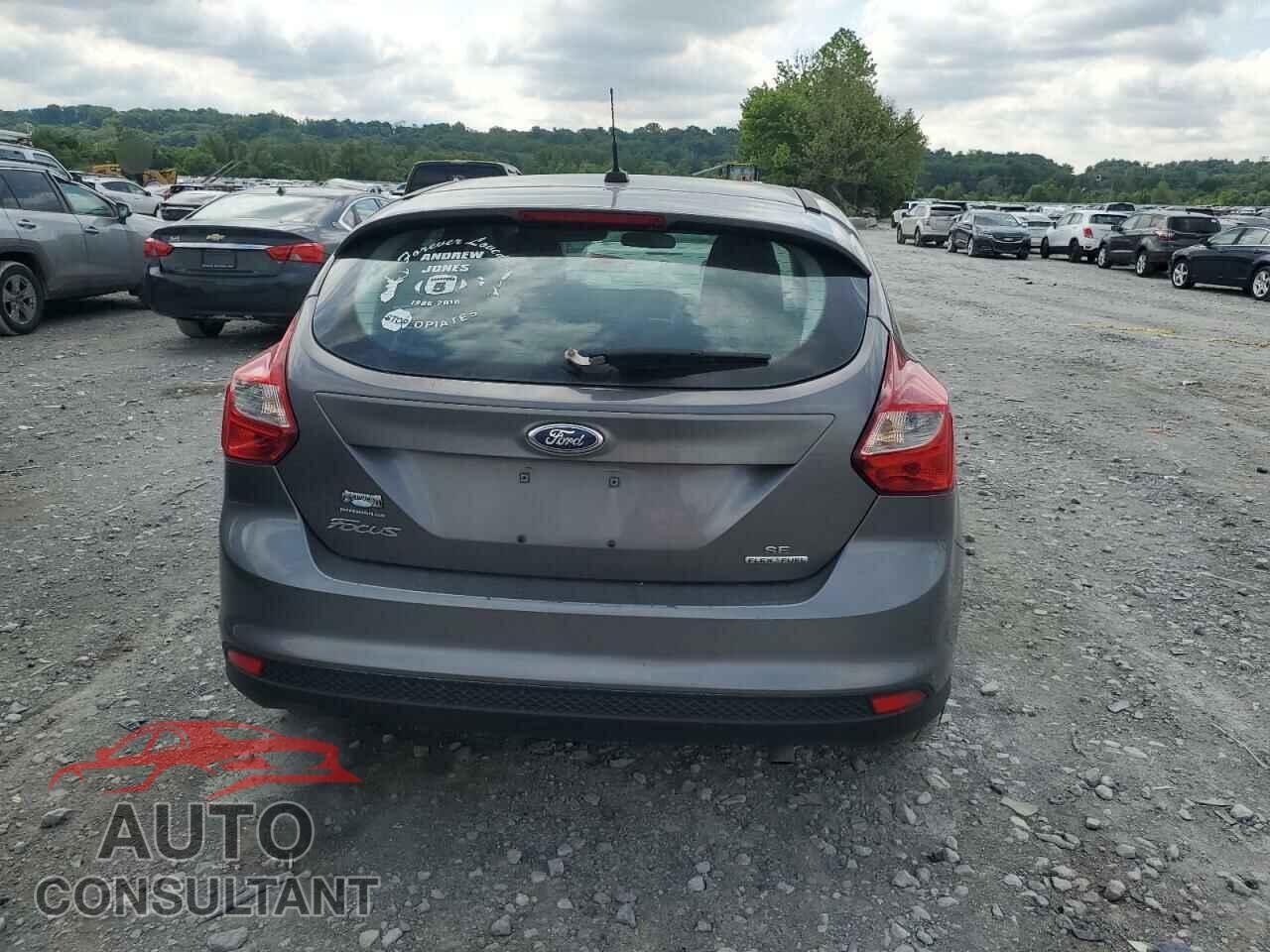 FORD FOCUS 2014 - 1FADP3K29EL224103