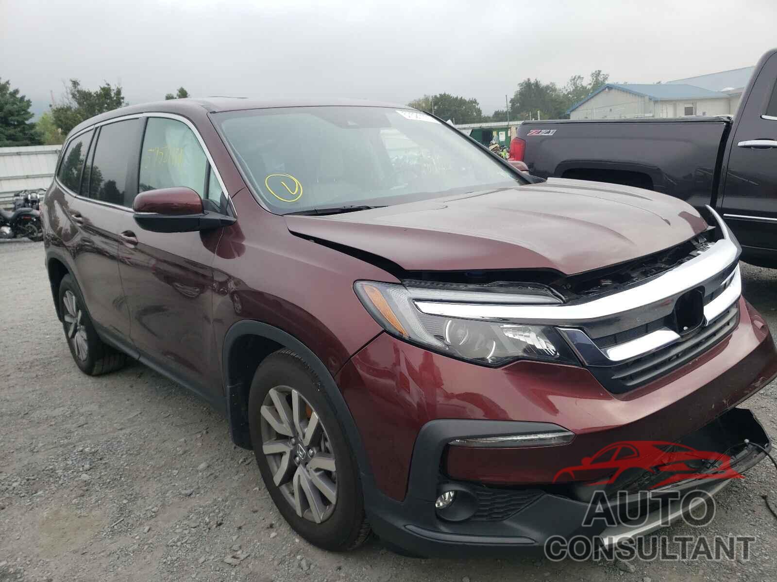 HONDA PILOT 2019 - 5FNYF6H42KB036580