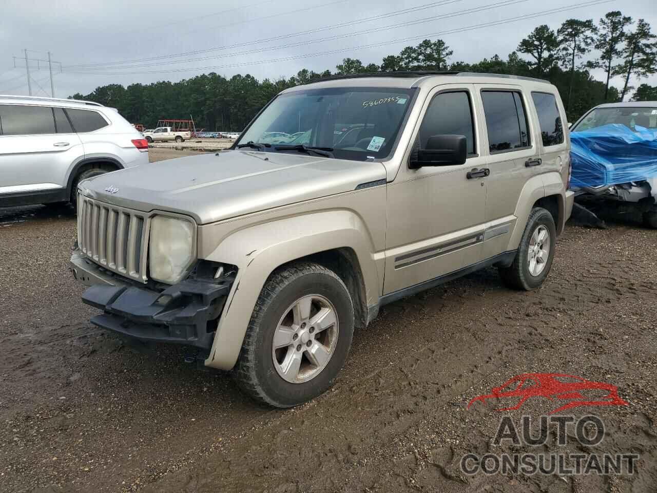 JEEP LIBERTY 2010 - 1J4PP2GK9AW138318