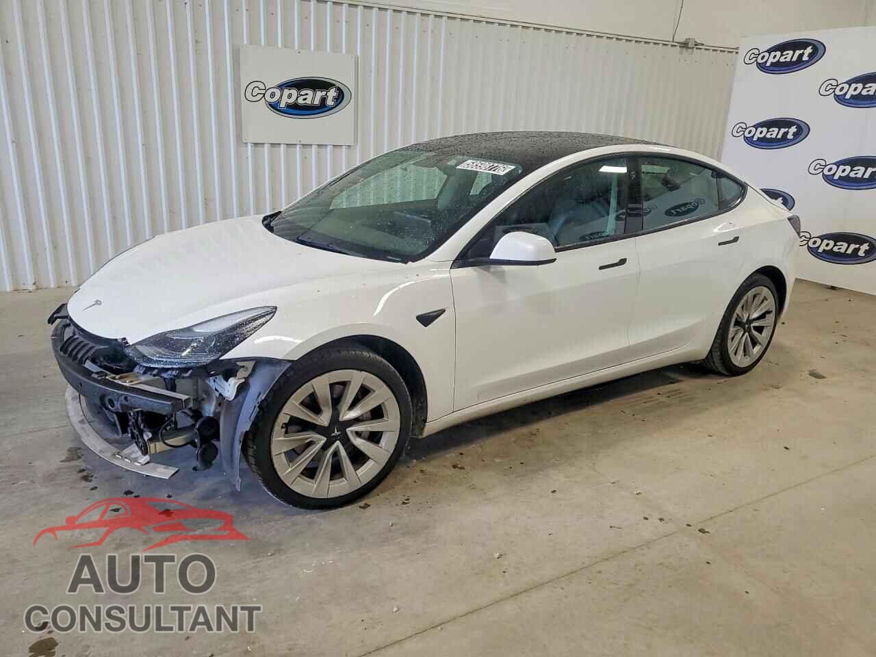 TESLA MODEL 3 2022 - 5YJ3E1EA1NF289873