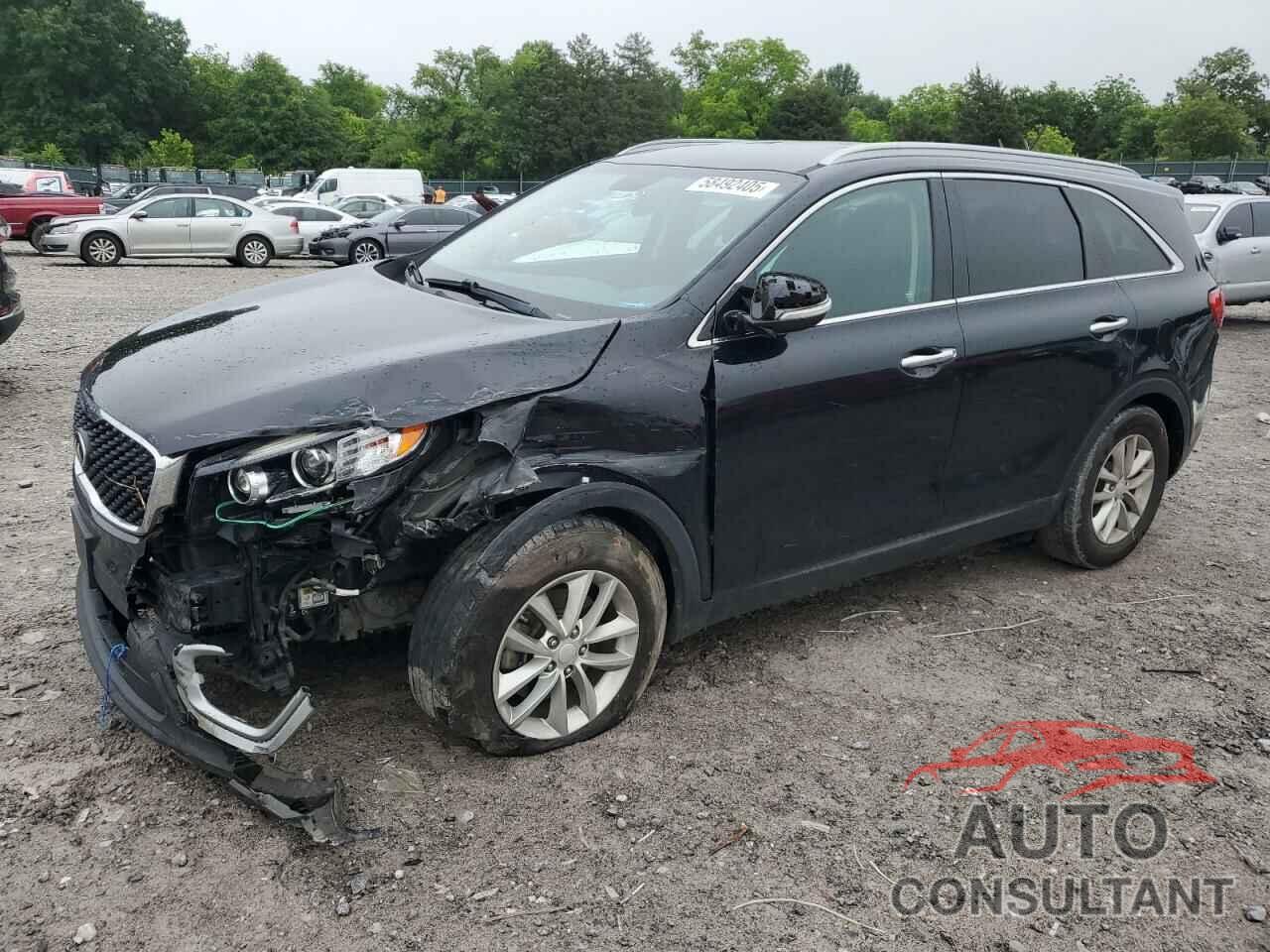 KIA SORENTO 2017 - 5XYPG4A56HG210524