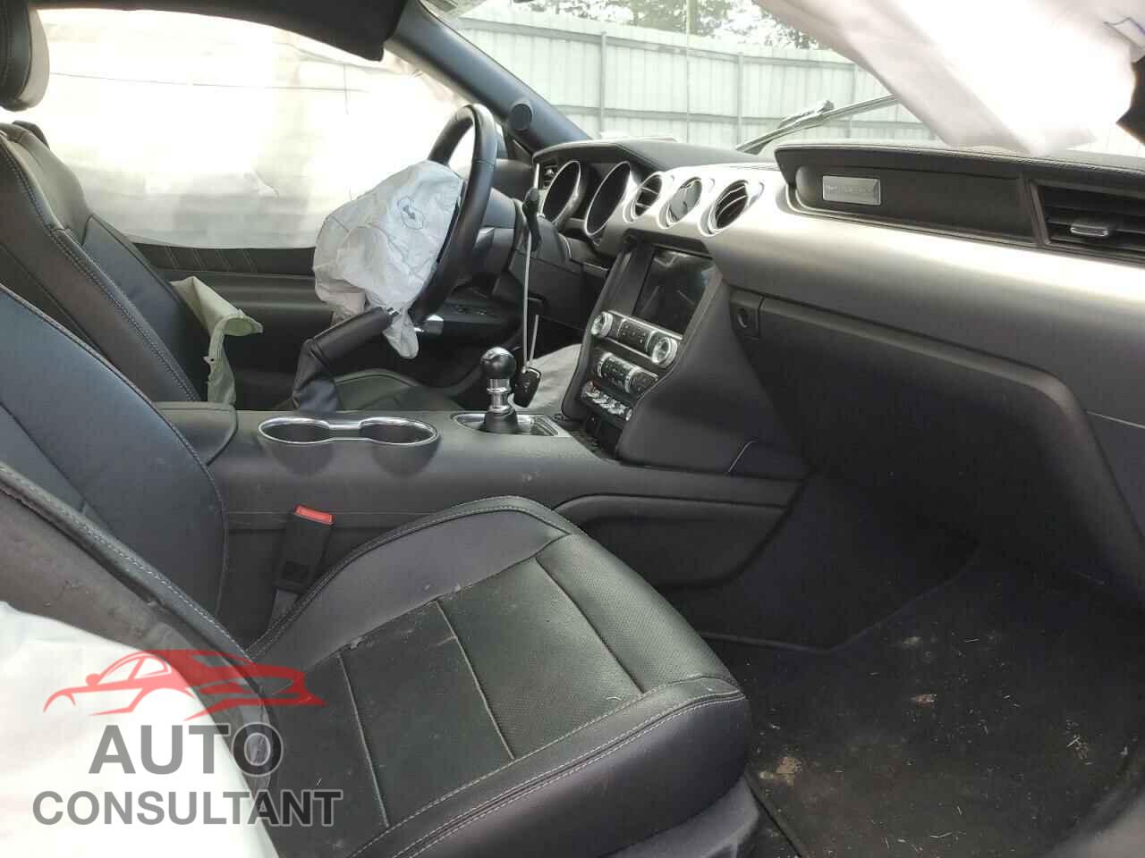 FORD MUSTANG 2019 - 1FA6P8CF4K5116091