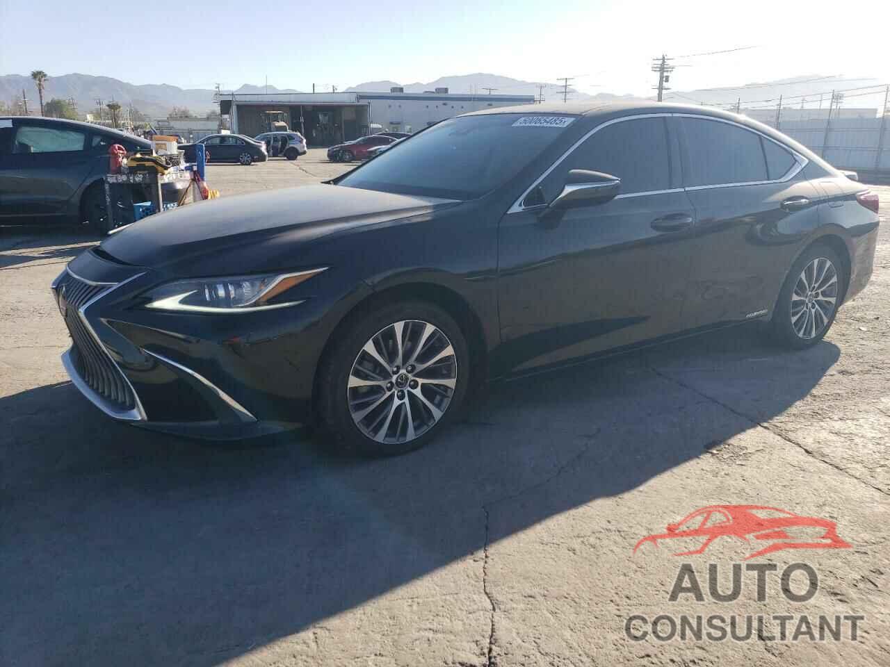 LEXUS ES300 2021 - 58ADA1C12MU012758