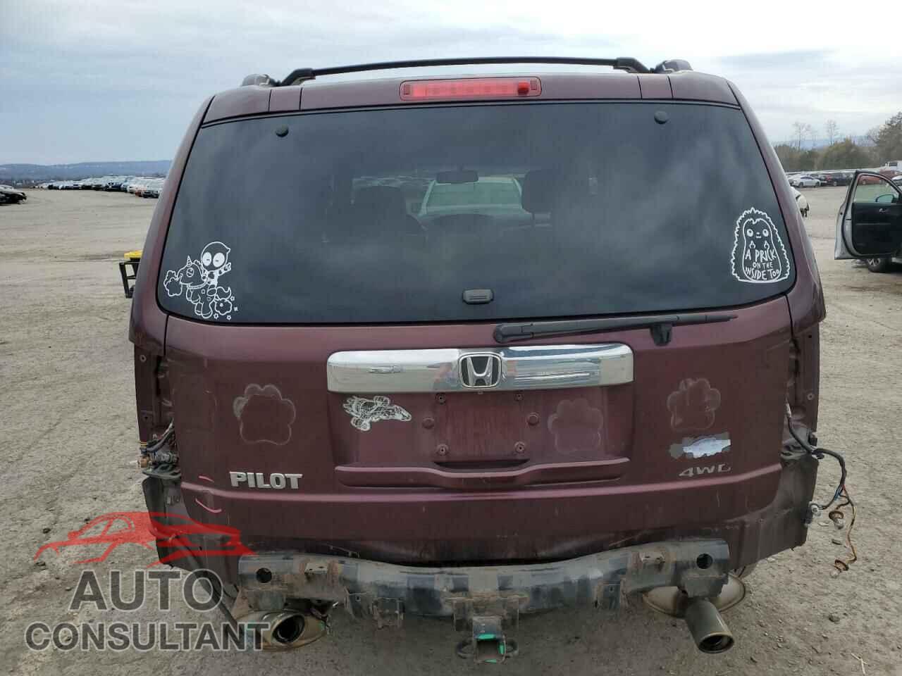 HONDA PILOT 2009 - 5FNYF48639B022221